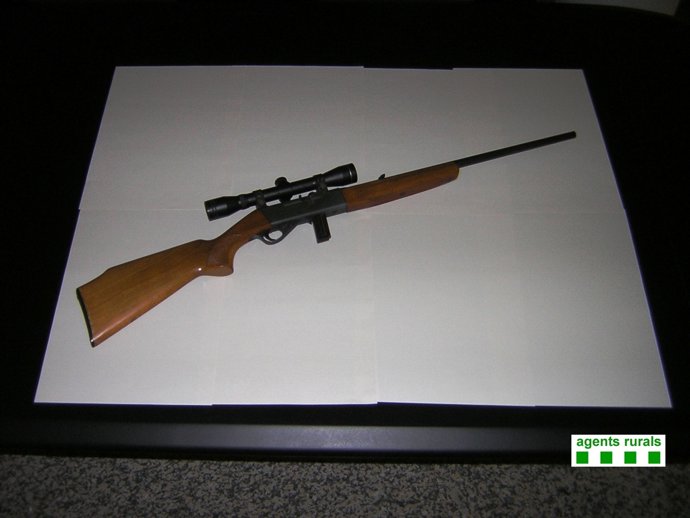 L'arma del calibre 22