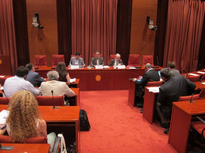 Comisión del Parlament sobre pelotas de goma