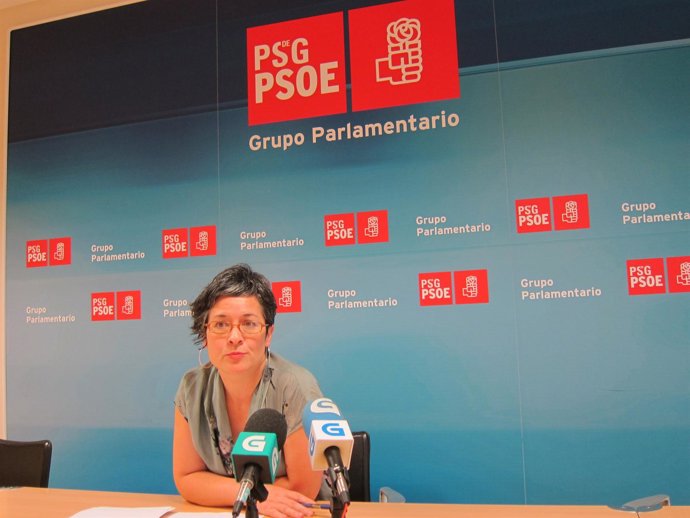 La diputada socialista Patricia Vilán