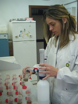 Tesis realizadas en el CSIC sobre suelos gallegos