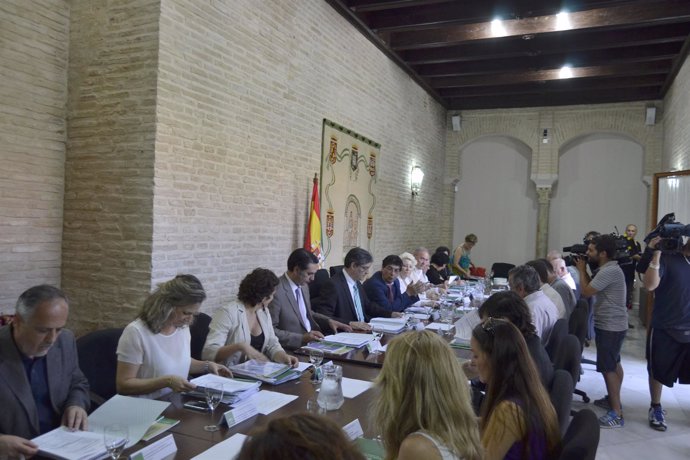 Reunión del Consejo Andaluz del Voluntariado, este jueves