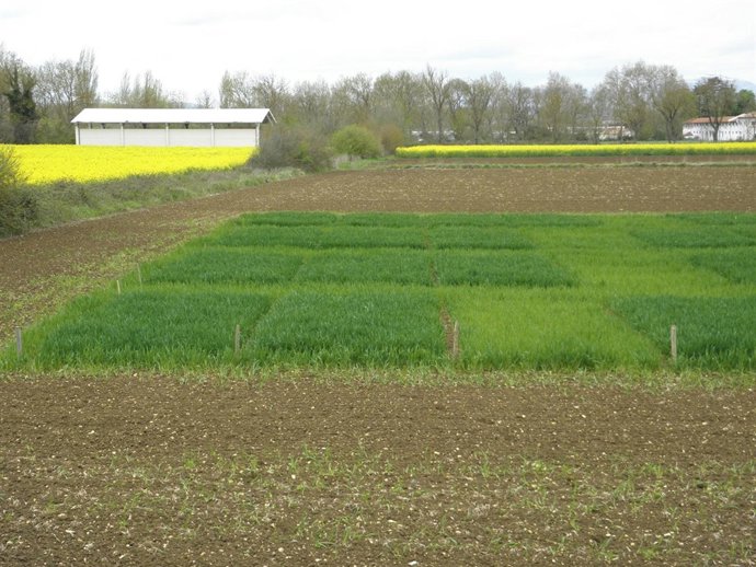 Neiker, fertilizante