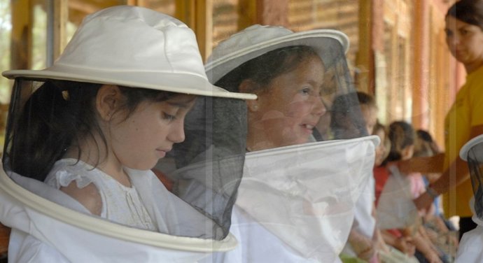 Curso de Apicultura para niños