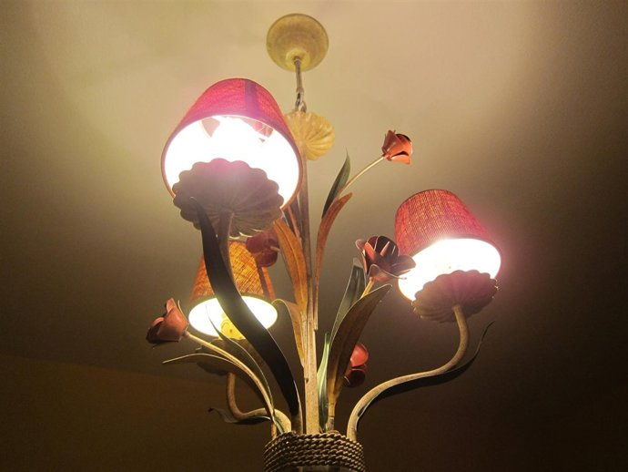Luz