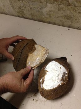 Imagen de cocaína oculta en el interior de un coco