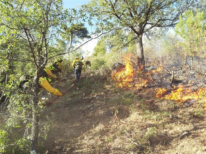 Brigadistas participan en un ataque directo contra el fuego