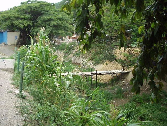 Río Macarao, en Venezuela       
