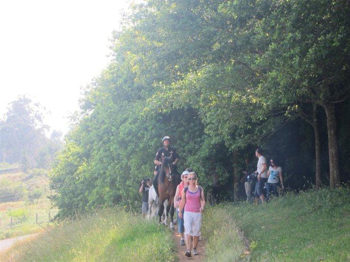 Oficiales de la Policía Nacional patrullan a caballo en monte gallego