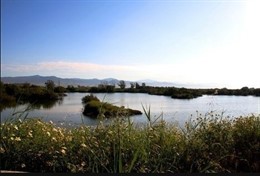 Paraje Natural Desembocadura del Guadalhorce