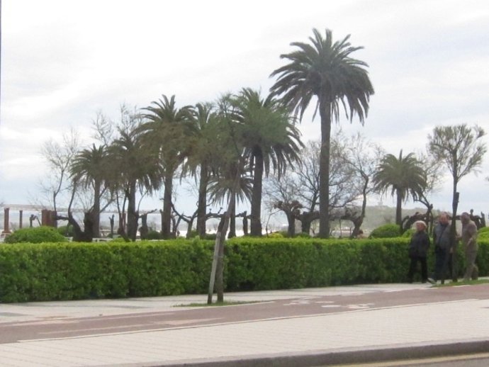 Jardines De Piquío, Santander