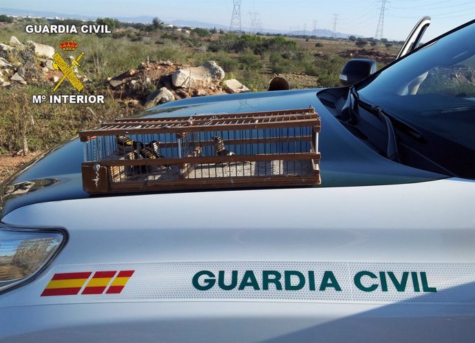 La Guardia Civil denuncia a varios furtivos por captura ilegal de aves