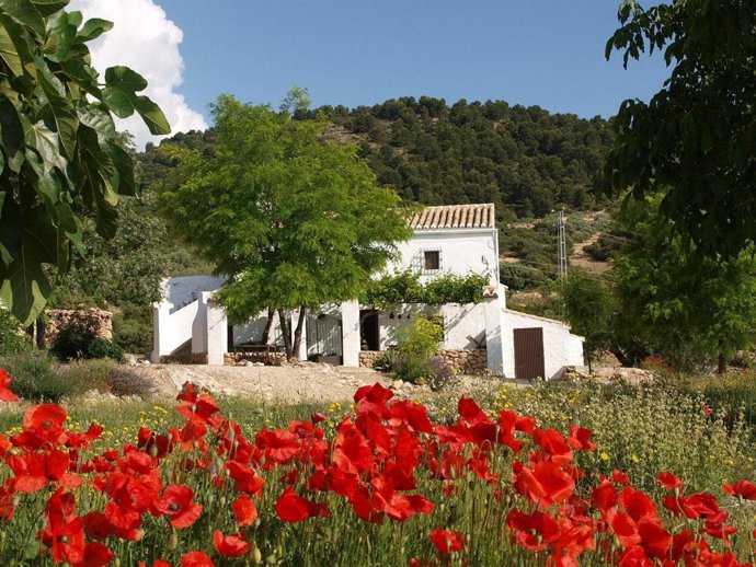 Cortijo Cerro Fuentes Nuevas (Granada)