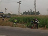 La Policía reanuda la búsqueda con georradar del cuerpo de Marta del Castillo en la finca de La Rinconada (Sevilla)