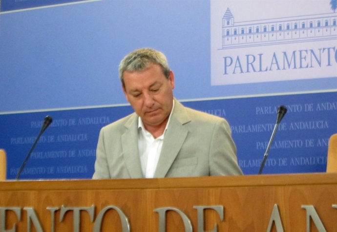 El portavoz del PSOE-A en el Parlamento, Francisco Álvarez de la Chica, hoy