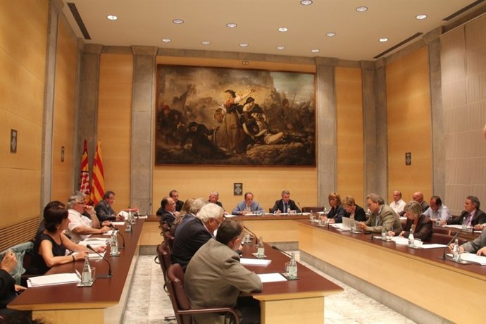 Pleno de la Diputación de Girona