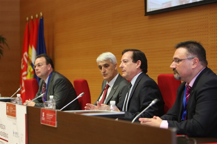 Erro y Arnáez Vadillo, en el Congreso