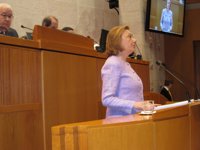 Rudi dice que el deterioro de Aragón en paro y empobrecimiento "ha sido menor que la media" española