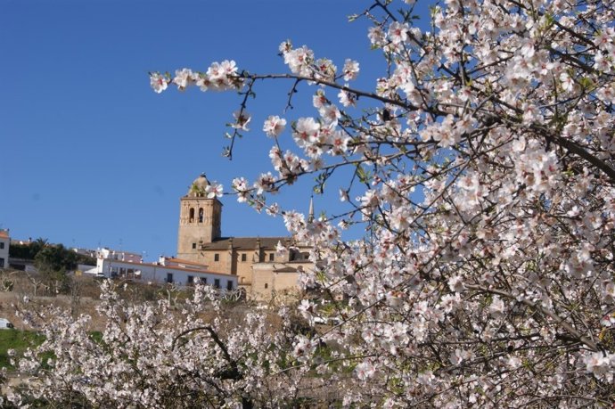 Jerez de los Caballeros