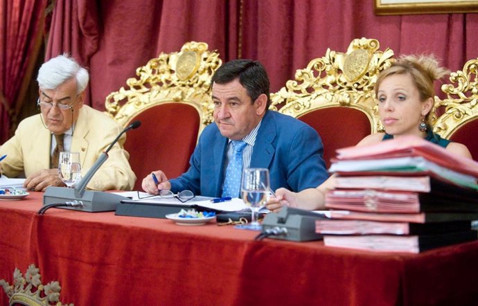 El presidente de la Diputación de Cádiz, José Loaiza, durante un Pleno