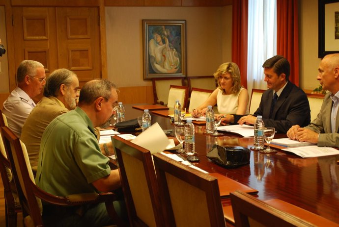 Comisión de seguimiento del plan de lucha contra el empleo irregular.