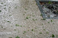 La tormenta de granizo en Girona daña 350 hectáreas de fruta dulce