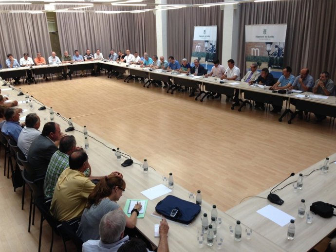 Diputación de Lleida aborda el uso de yoduro de plata contra el pedrisco