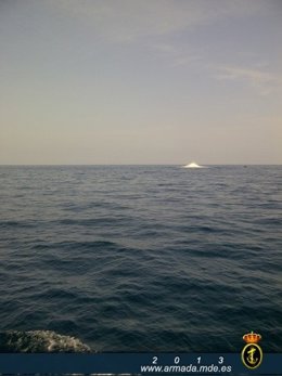 Hallazgo de explosivos en Sitges