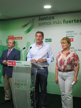 En el centro, el secretario del PSOE de Almería, José Luis Sánchez Teruel