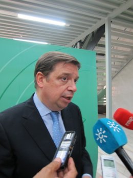 El consejero de Agricultura, Pesca y Medio Ambiente, Luis Planas