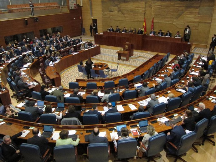 Pleno De La Asamblea De Madrid Del 10/11/11