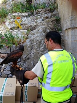 Un agente con una de las aves recuperadas 