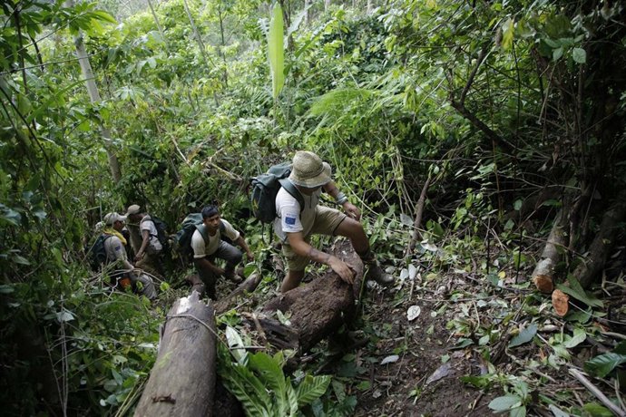 Los estudiantes de la Ruta Quetzal subieron a pie el Cerro Pechito Parado