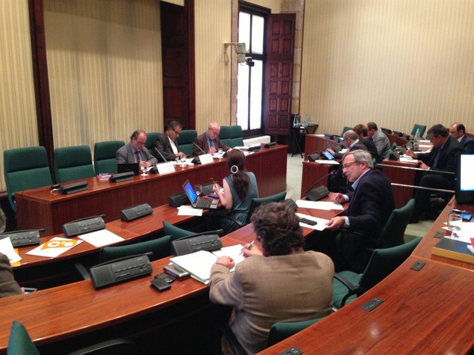 Comisión de estudio de las pelotas de goma en el Parlament