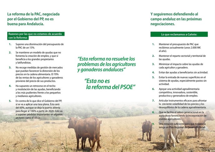 Folleto de la campaña informativa del PSOE-A contra la PAC