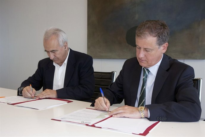 Consejero y director Escuela Altamira