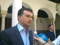 Maíllo (IULV-CA) respeta la decisión de Griñán y celebra que su socio de Gobierno "vaya resolviendo sus cosas"