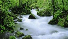 Río con abundante caudal