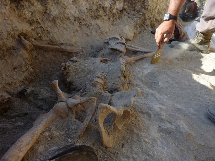 Exhumación Del Cadáver Del Último Soldado Republicano De La Batalla Del Ebro