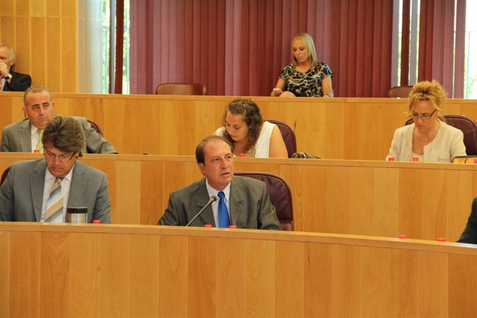 Pleno de la Diputación de Granada