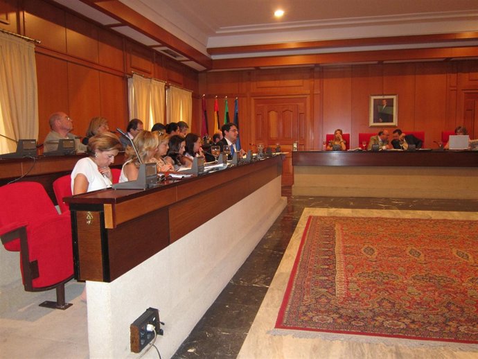 Un momento del Pleno municipal