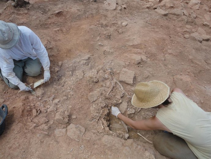 Aparece un nuevo esqueleto de época ibérica en Ademuz