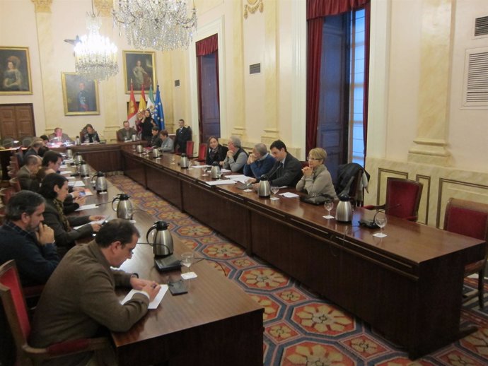 Pleno Ayuntamiento de Cáceres