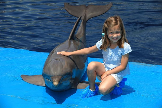 Delfin en el Oceanogràfic