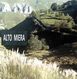 Plumero en el Alto Miera