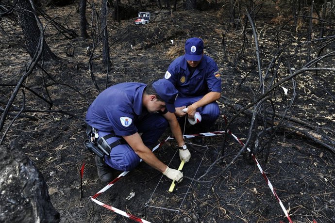 PEREIRO DE AGUIAR (OURENSE):INVESTIGADORES DE INCENDIOS DE LA POLICÍA AUTONÓMICA