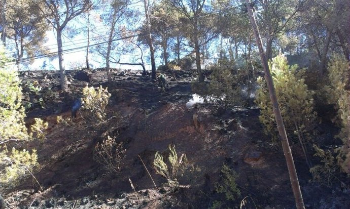 Zona afectada del incendio en la urbanización Selva Negra de Vallirana