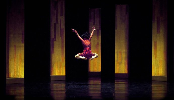 'El Pájaro De Fuego'