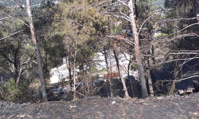 Zona afectada por el incendio de Vallirana