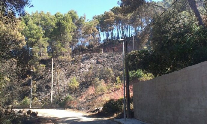 Zona afectada por el incendio de Vallirana