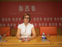 El PSPV pedirá al Consell "de inmediato" todos los contratos entre Aguamarga y Ciudad de la Luz